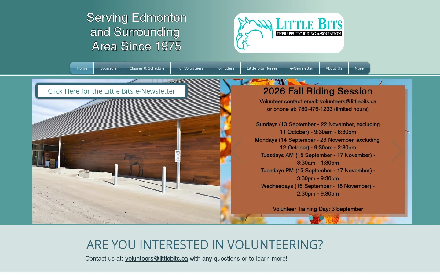 Little Bits Therapeutic Riding Association Homepage screenshot