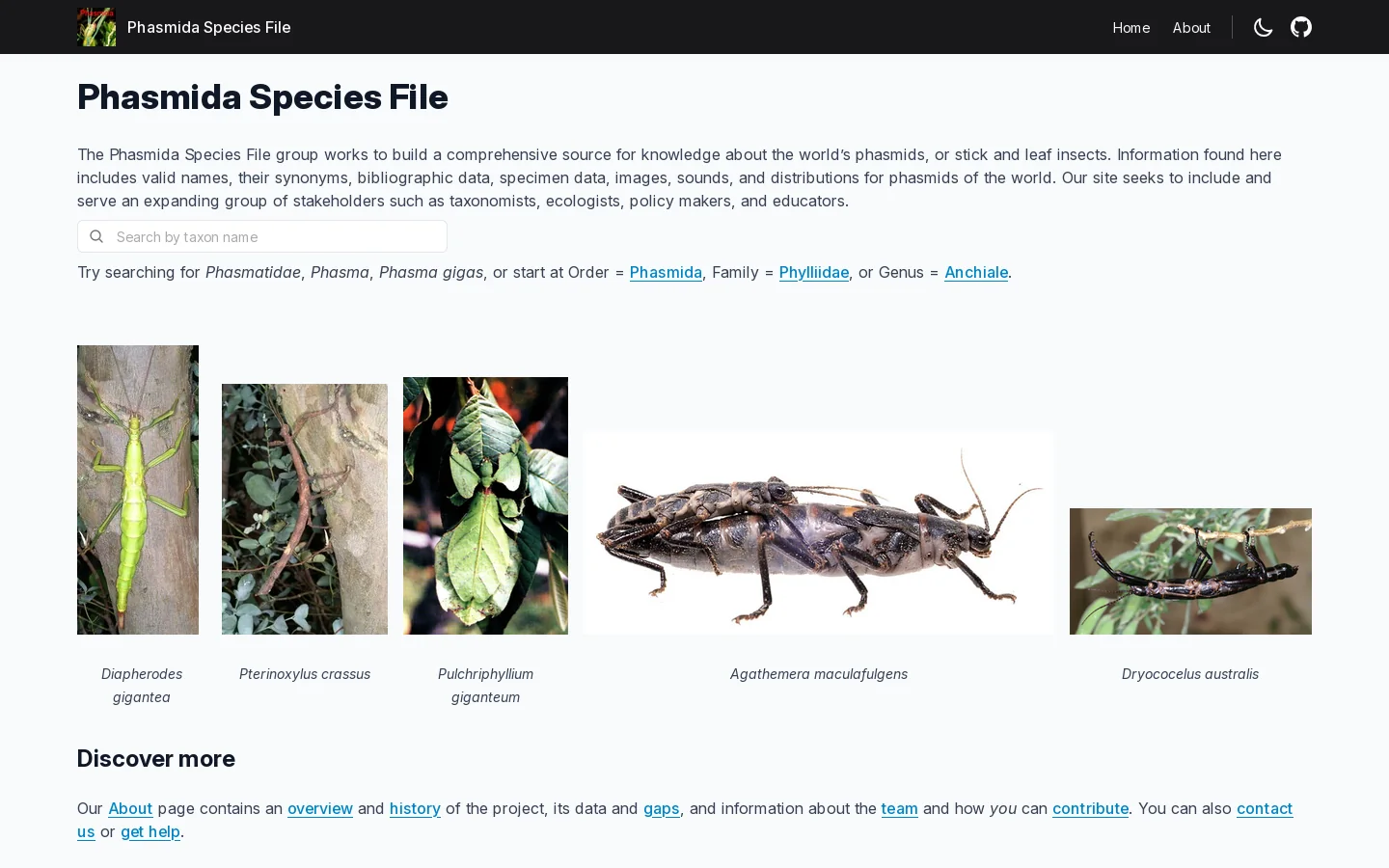 Phasmida Species File Homepage screenshot