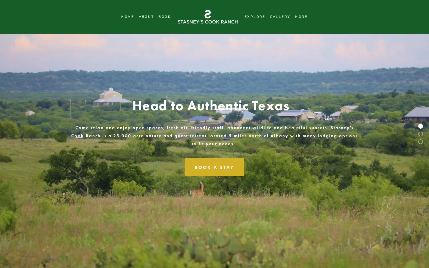 STASNEY'S COOK RANCH | Head to Authentic Texas | Albany, TX Homepage screenshot