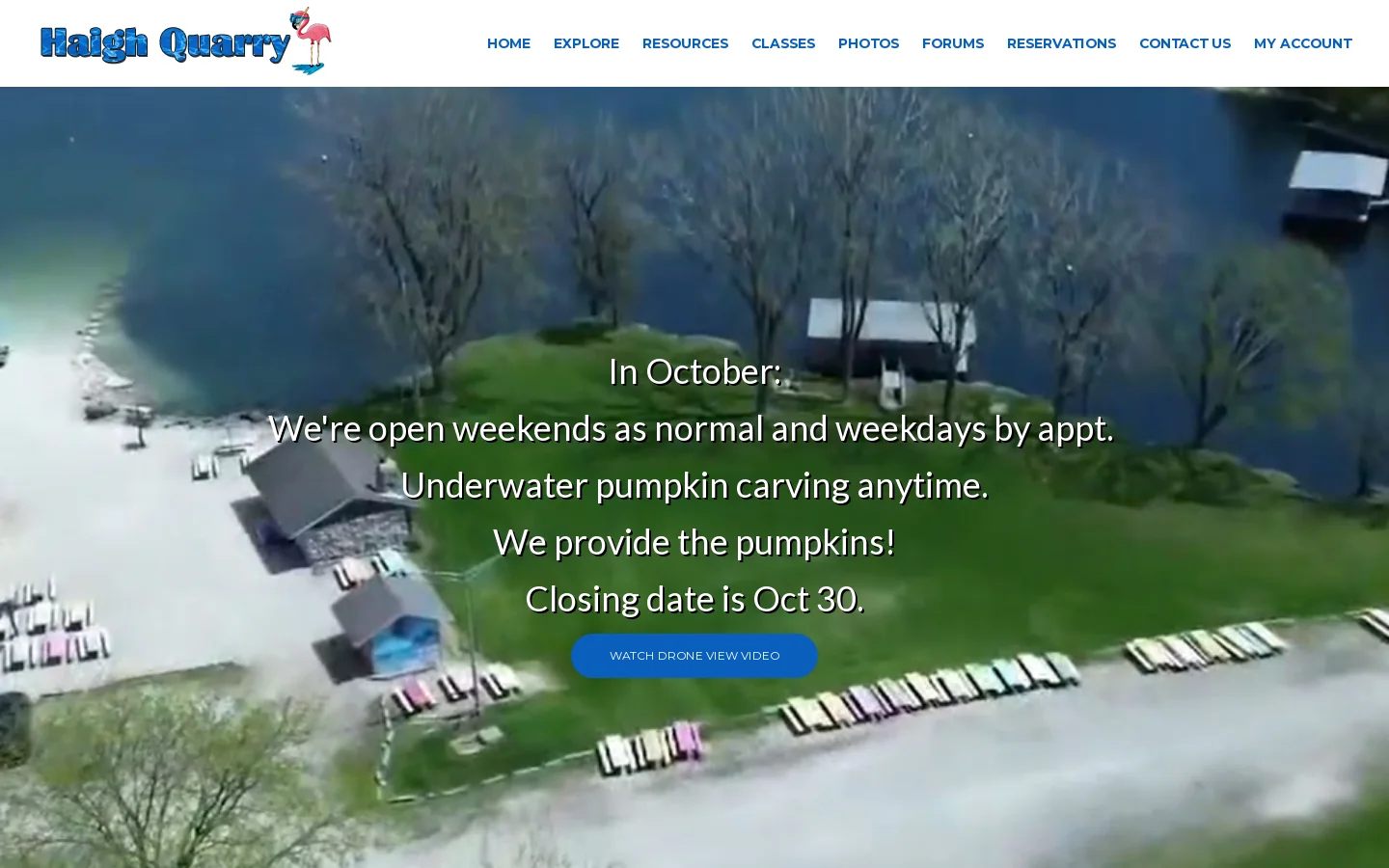 Home Homepage screenshot