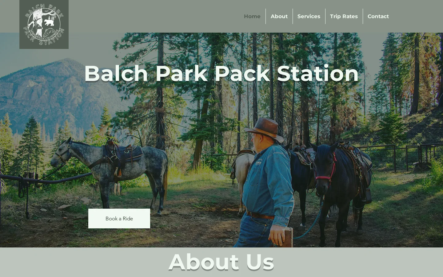 Balch Park Pack Station Homepage screenshot
