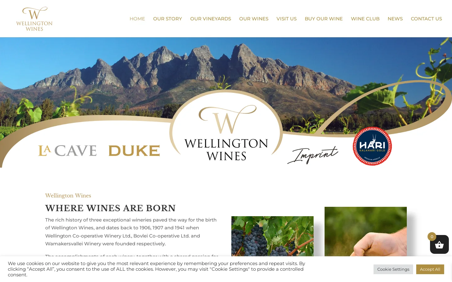 Wellington Wines Homepage screenshot