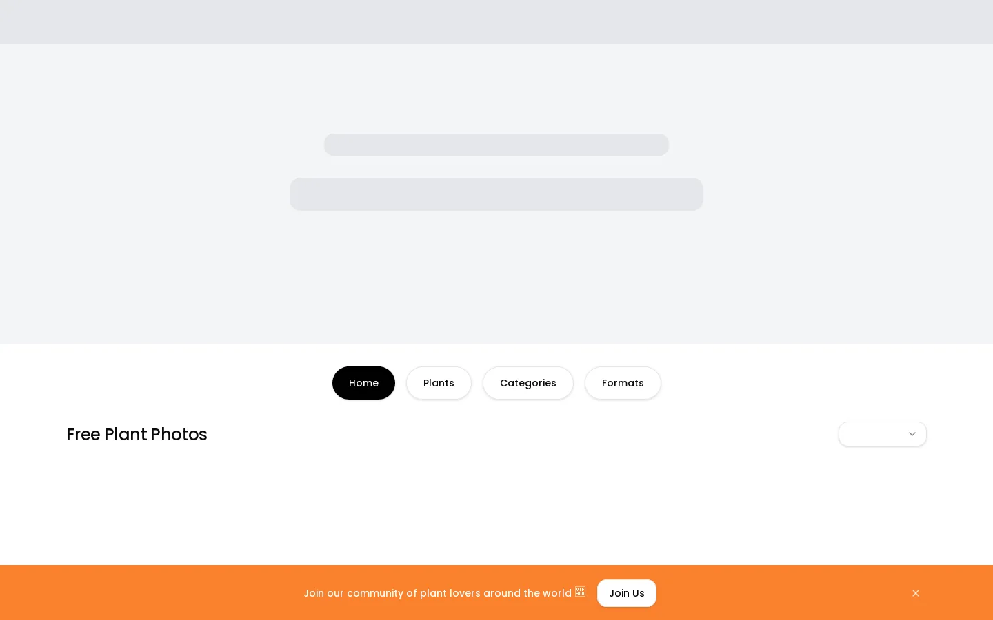PlantPhotoAI Homepage screenshot