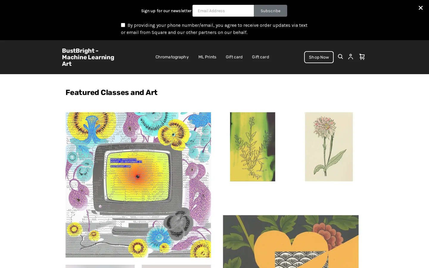 BustBright Homepage screenshot