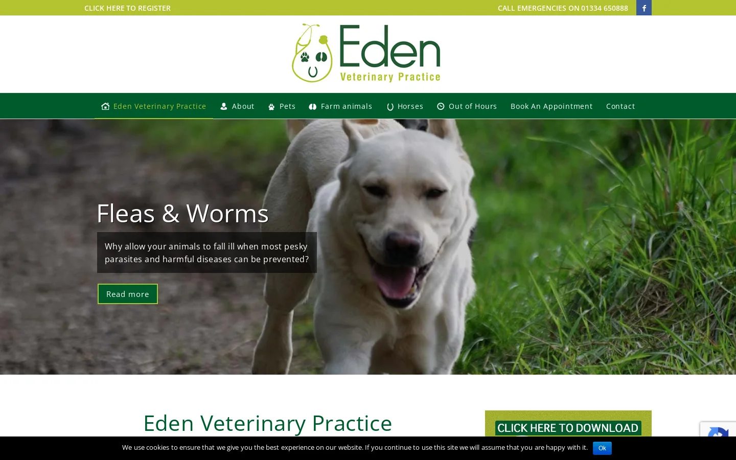 Vets In Cupar, North-East Fife - Eden Veterinary Practice Homepage screenshot