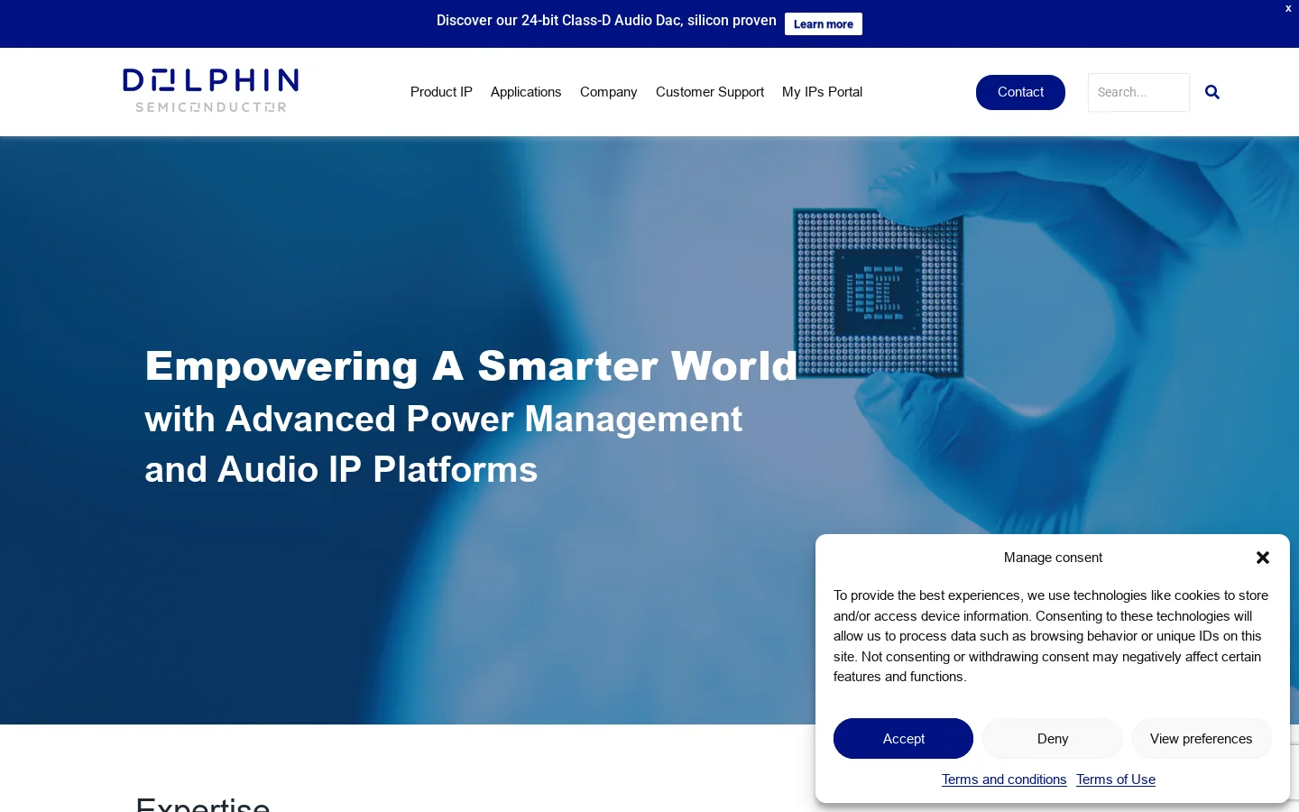 Dolphin Semiconductor Homepage screenshot