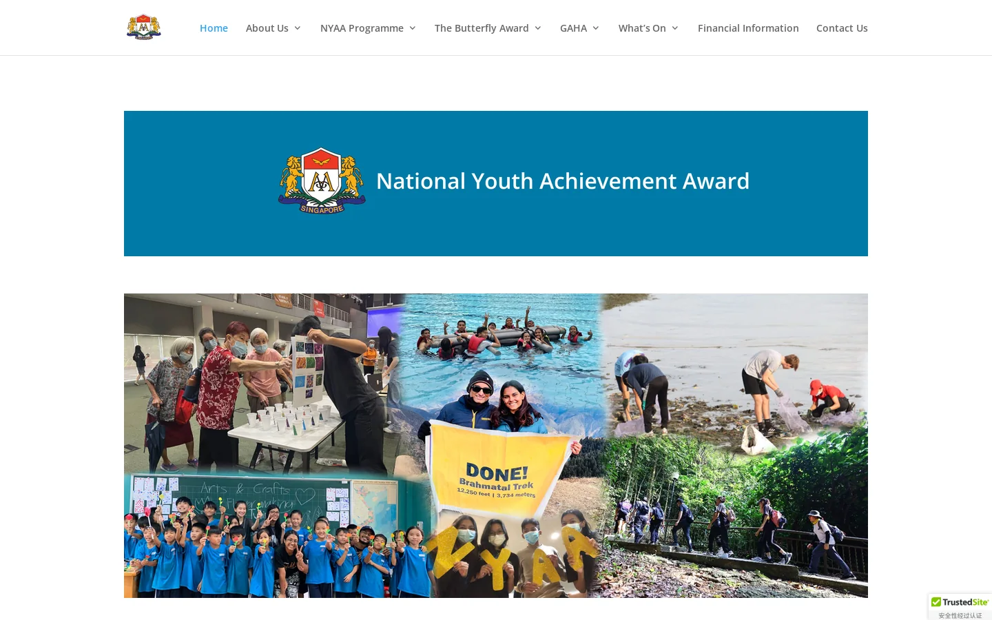 NYAA Homepage screenshot