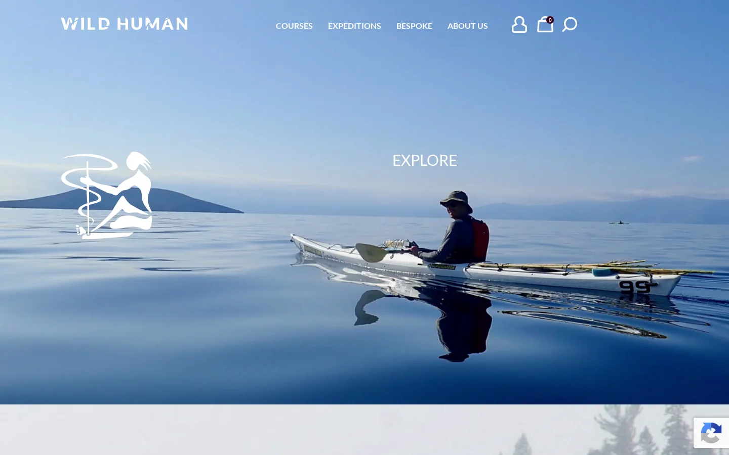 Wild Human Bushcraft Courses and Expeditions Homepage screenshot