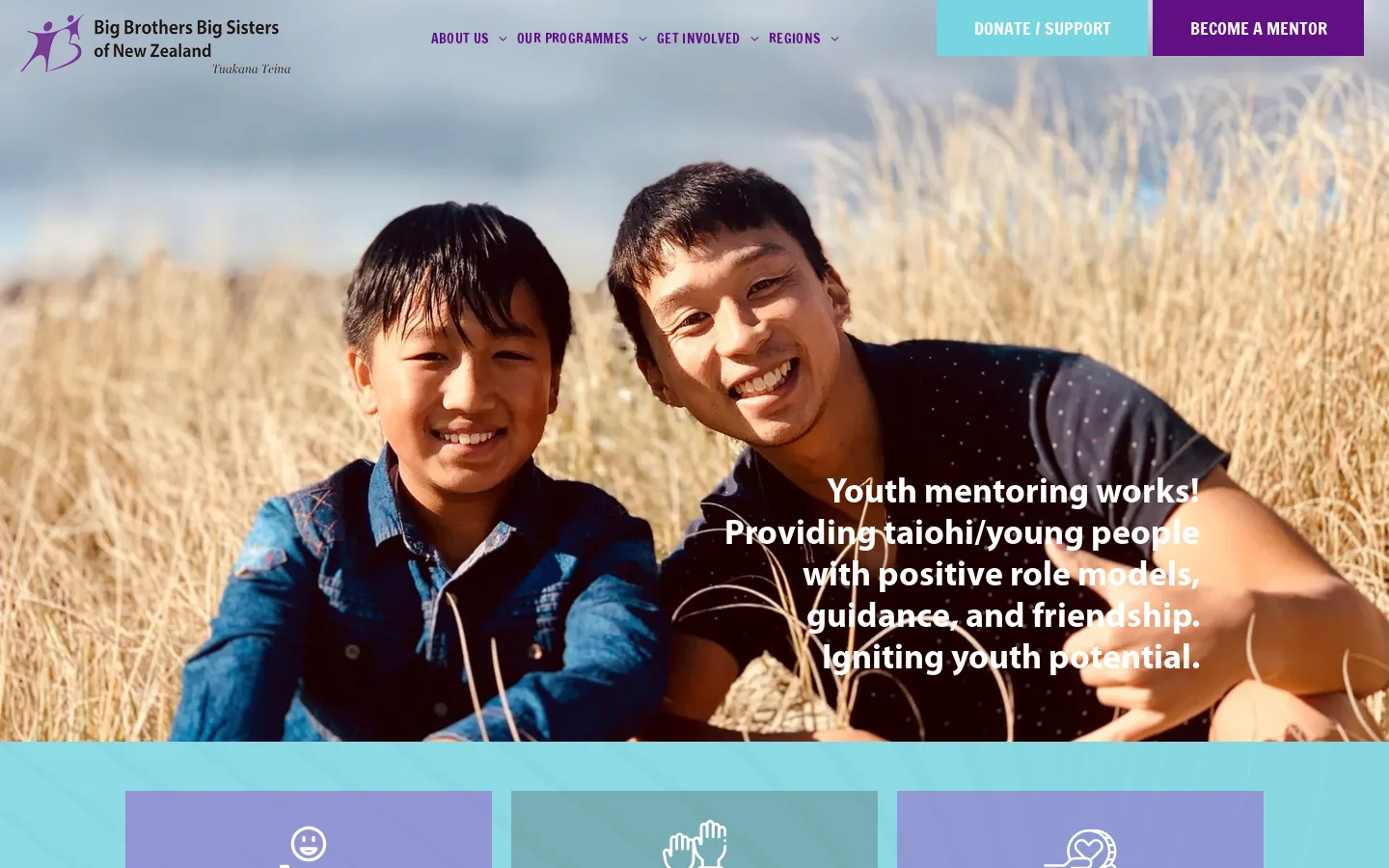 Big Brothers Big Sisters of New Zealand Homepage screenshot