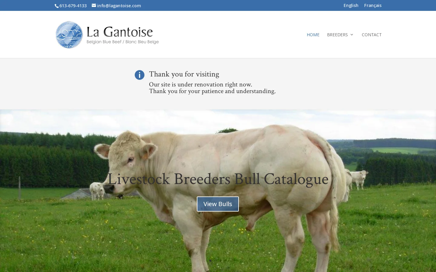 La Gantoise Inc Homepage screenshot