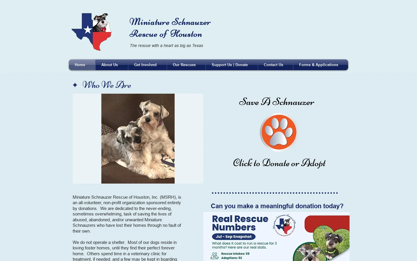 Miniature Schnauzer Rescue of Houston Homepage screenshot