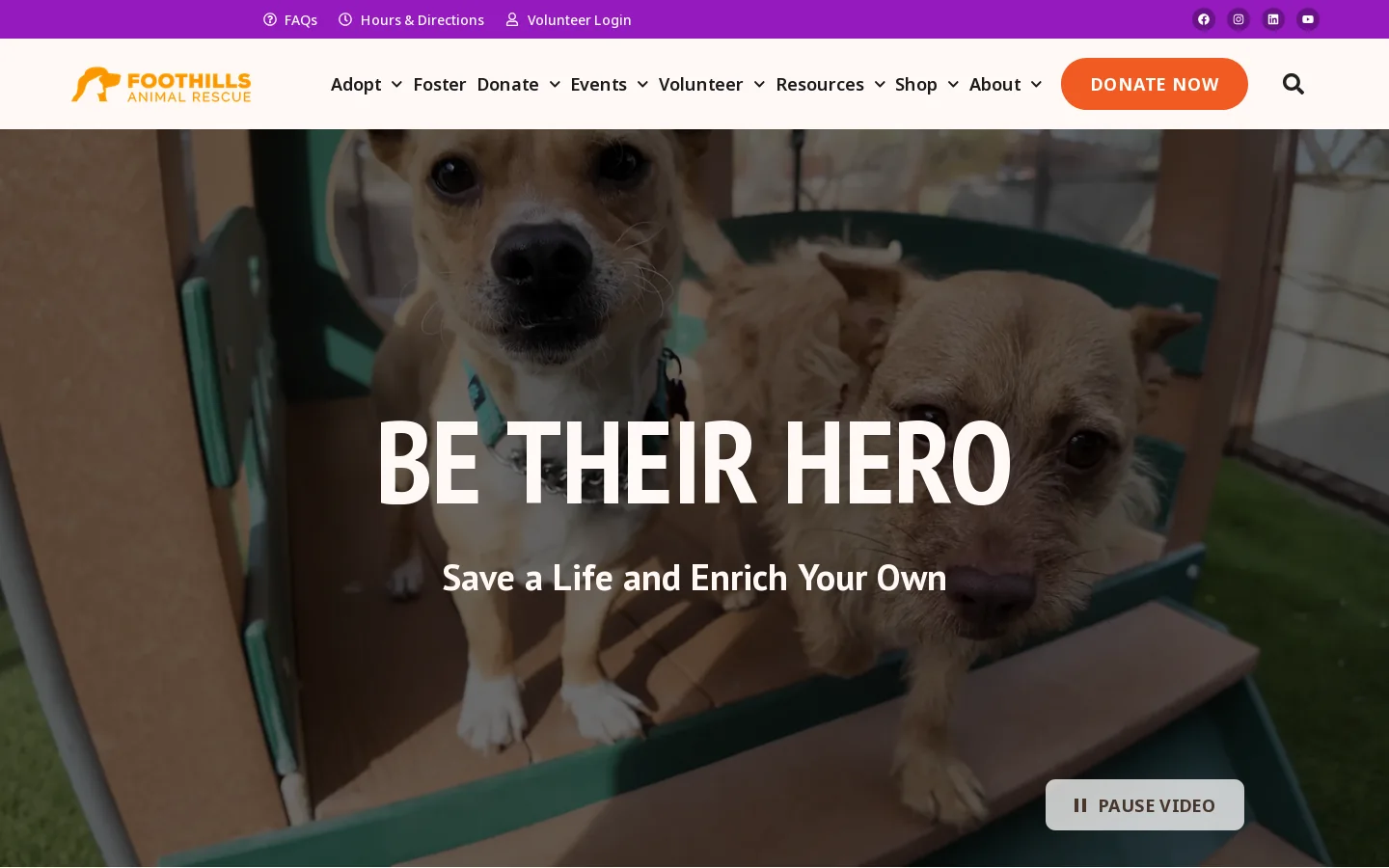 Foothills Animal Rescue Homepage screenshot