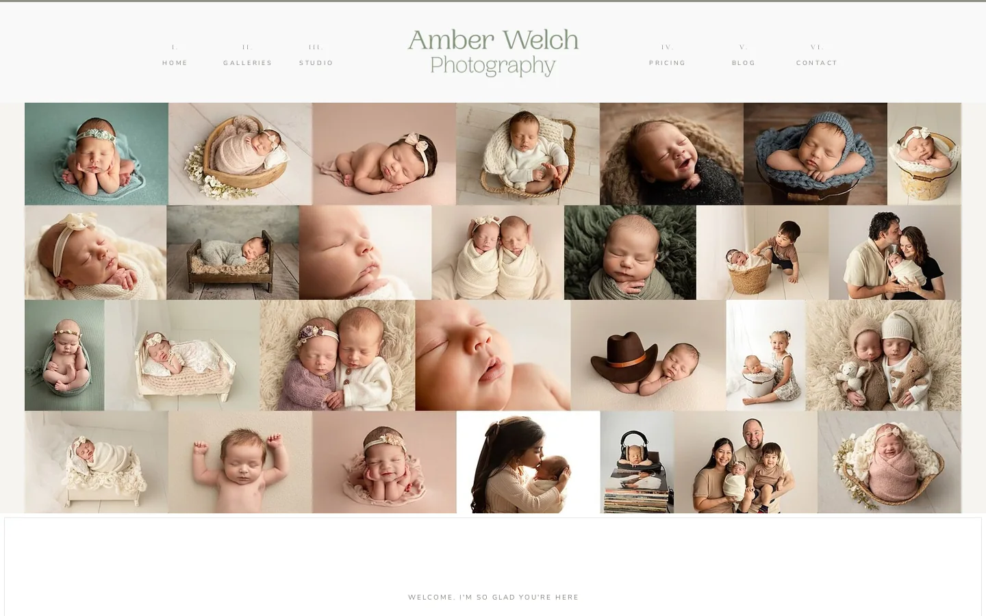 Amber Welch Photography Homepage screenshot
