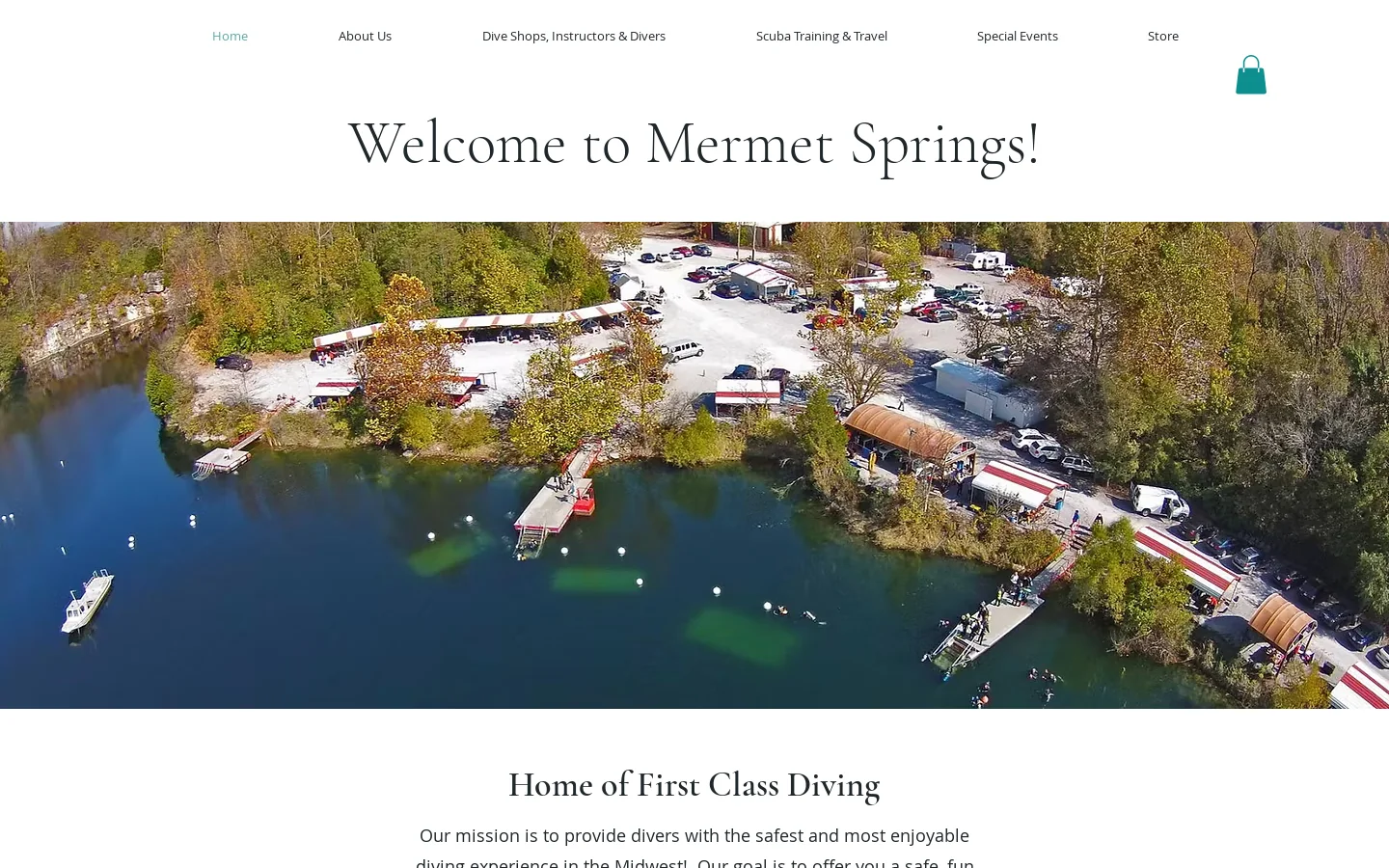 Mermet Springs Homepage screenshot