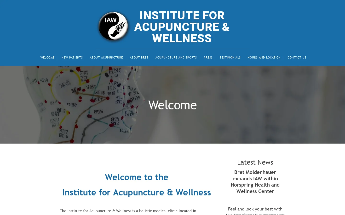 Chattanooga's Institute for Acupuncture & Wellness | Bret Moldenhauer, L.Ac., D.Ac. Homepage screenshot
