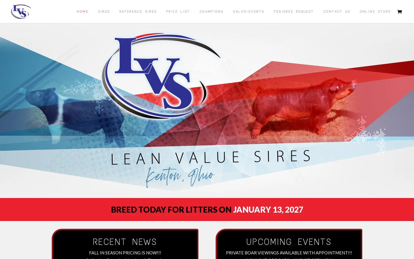 Home » Lean Value Sires Homepage screenshot