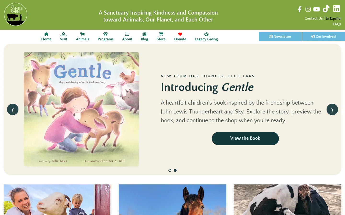 Home Homepage screenshot
