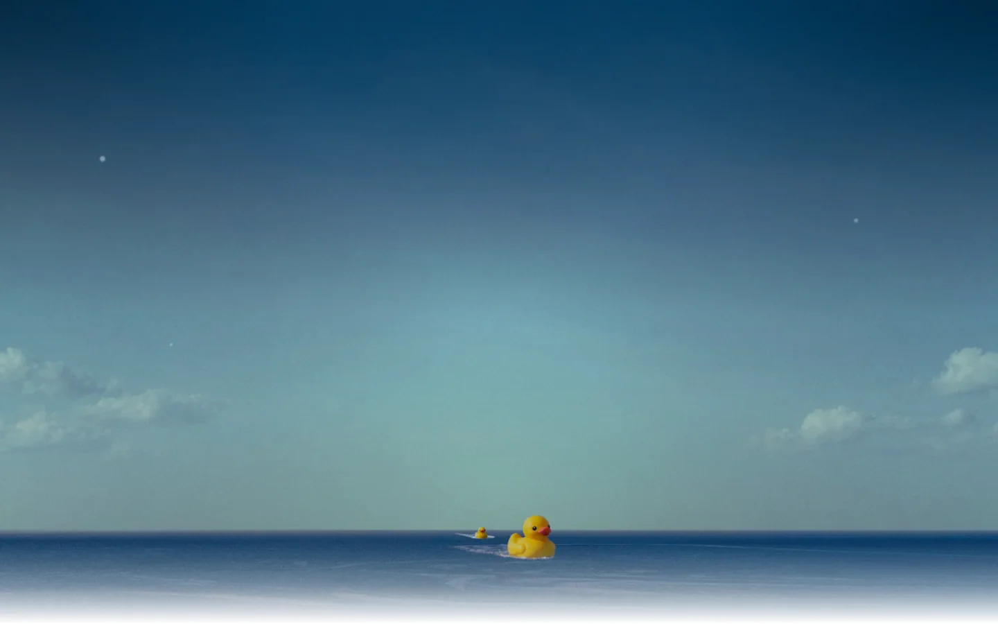 Duckie Homepage screenshot