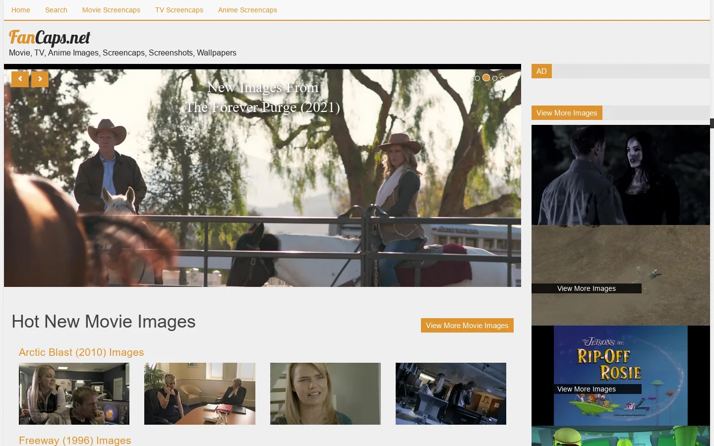 Fancaps.net Homepage screenshot