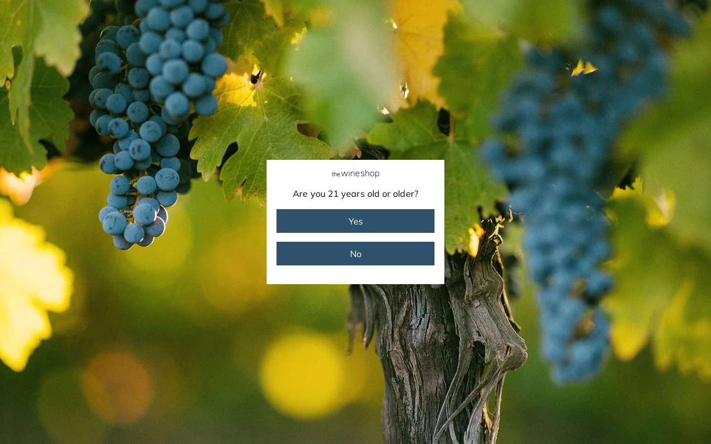 Treasury Wine Shop Homepage screenshot