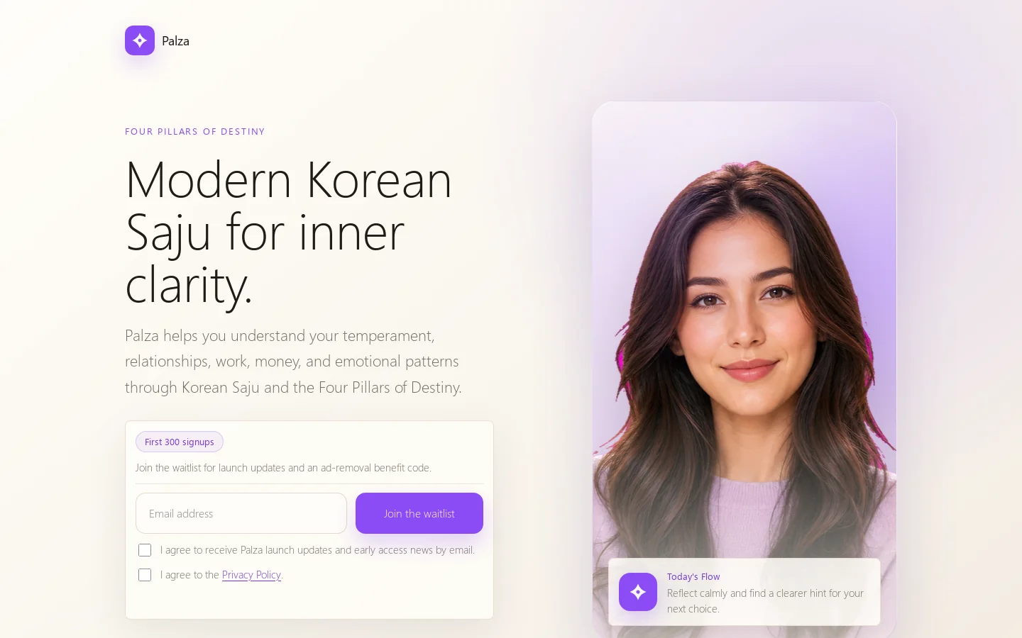 Palza Homepage screenshot