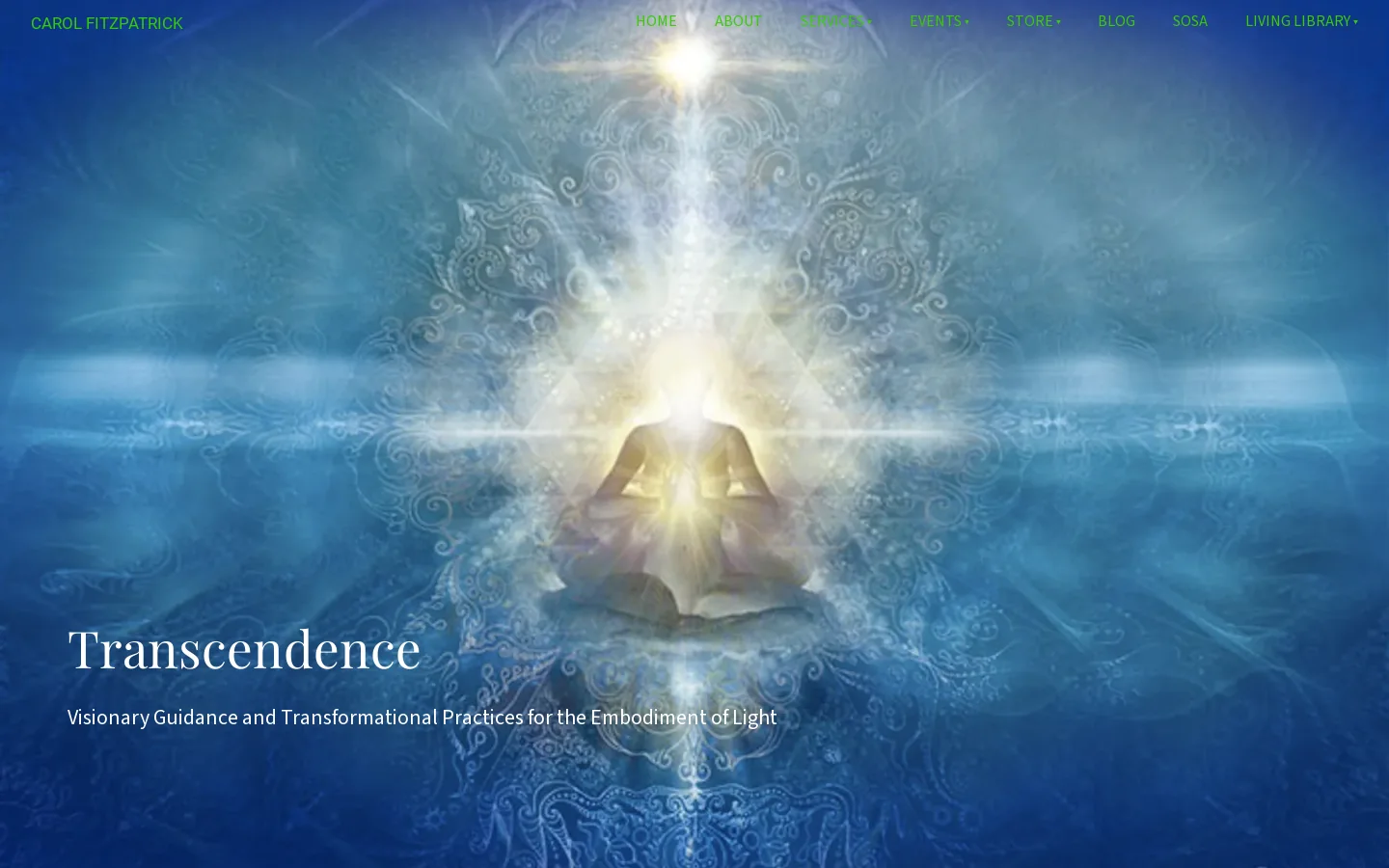 Carol Fitzpatrick Homepage screenshot