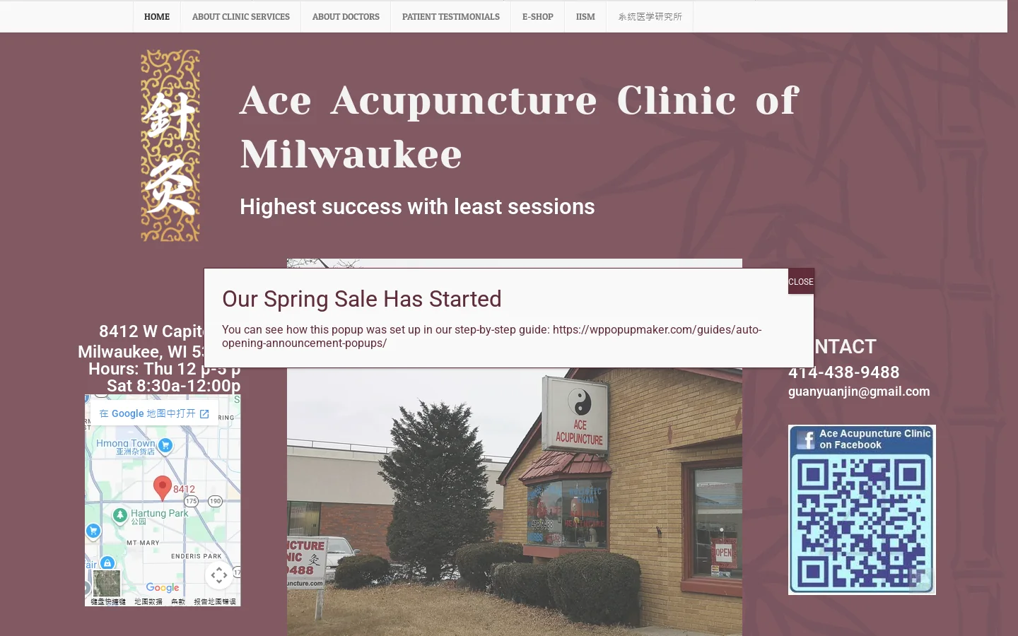 Ace Acupuncture Homepage screenshot