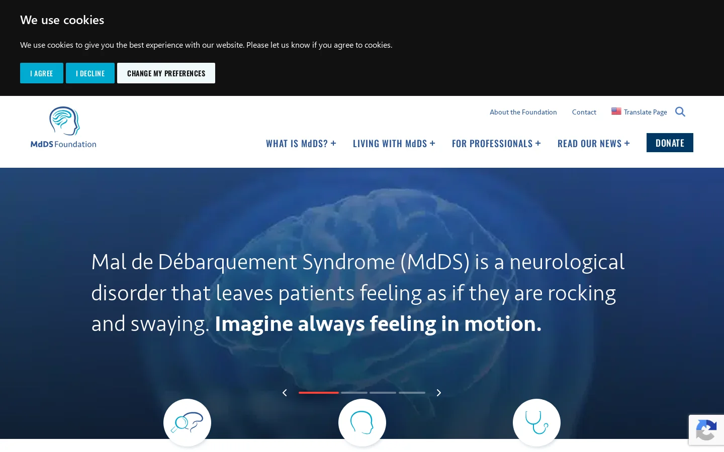 Mal de Débarquement, Disembarkment or Debarkation Syndrome Homepage screenshot