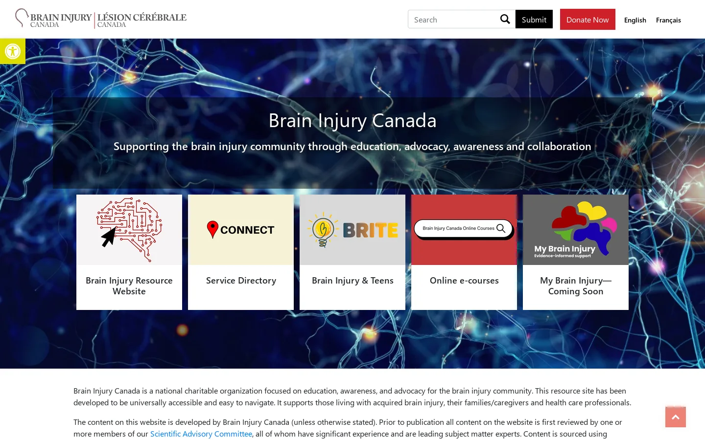 Brain Injury Canada Homepage screenshot