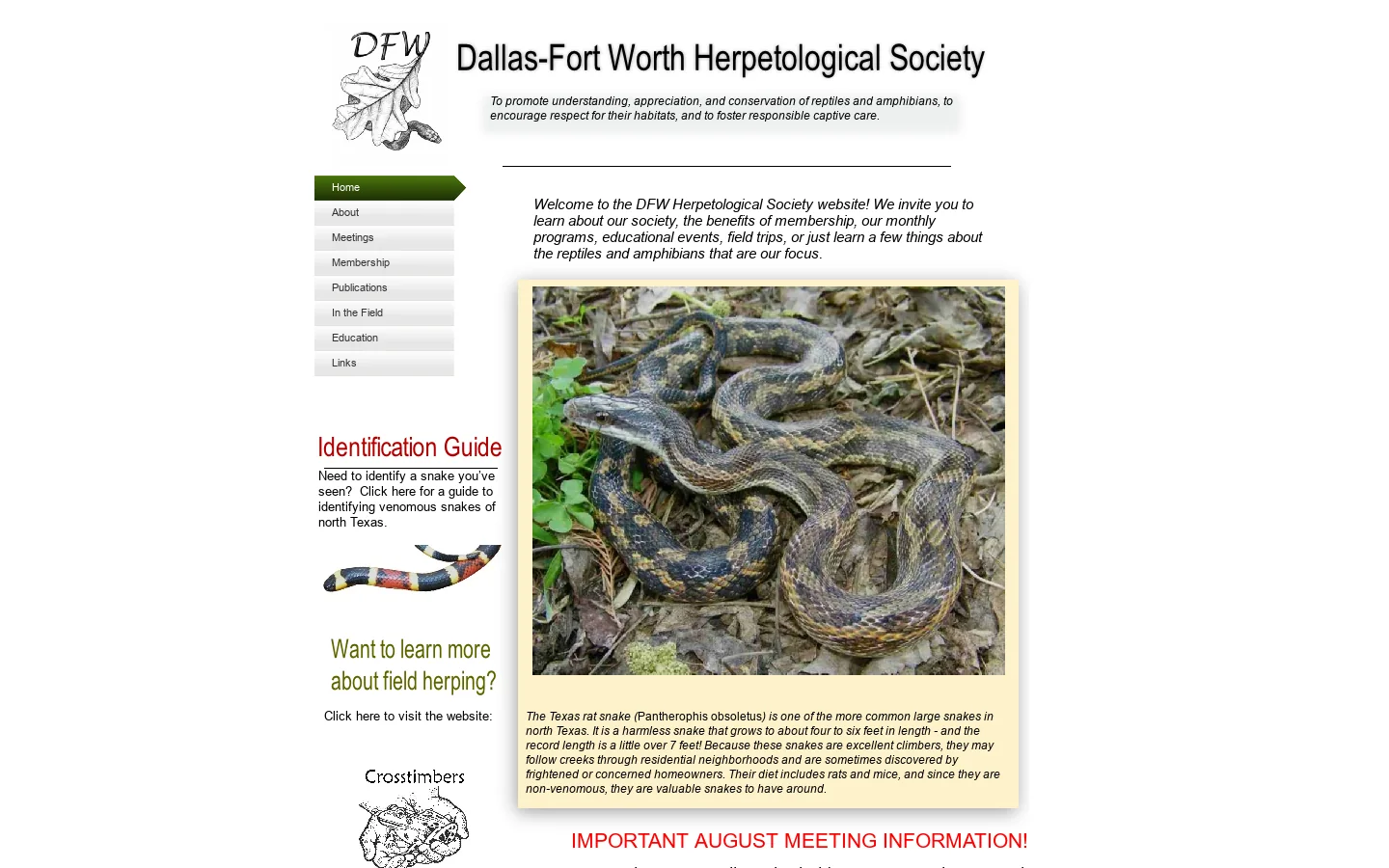 Home Homepage screenshot