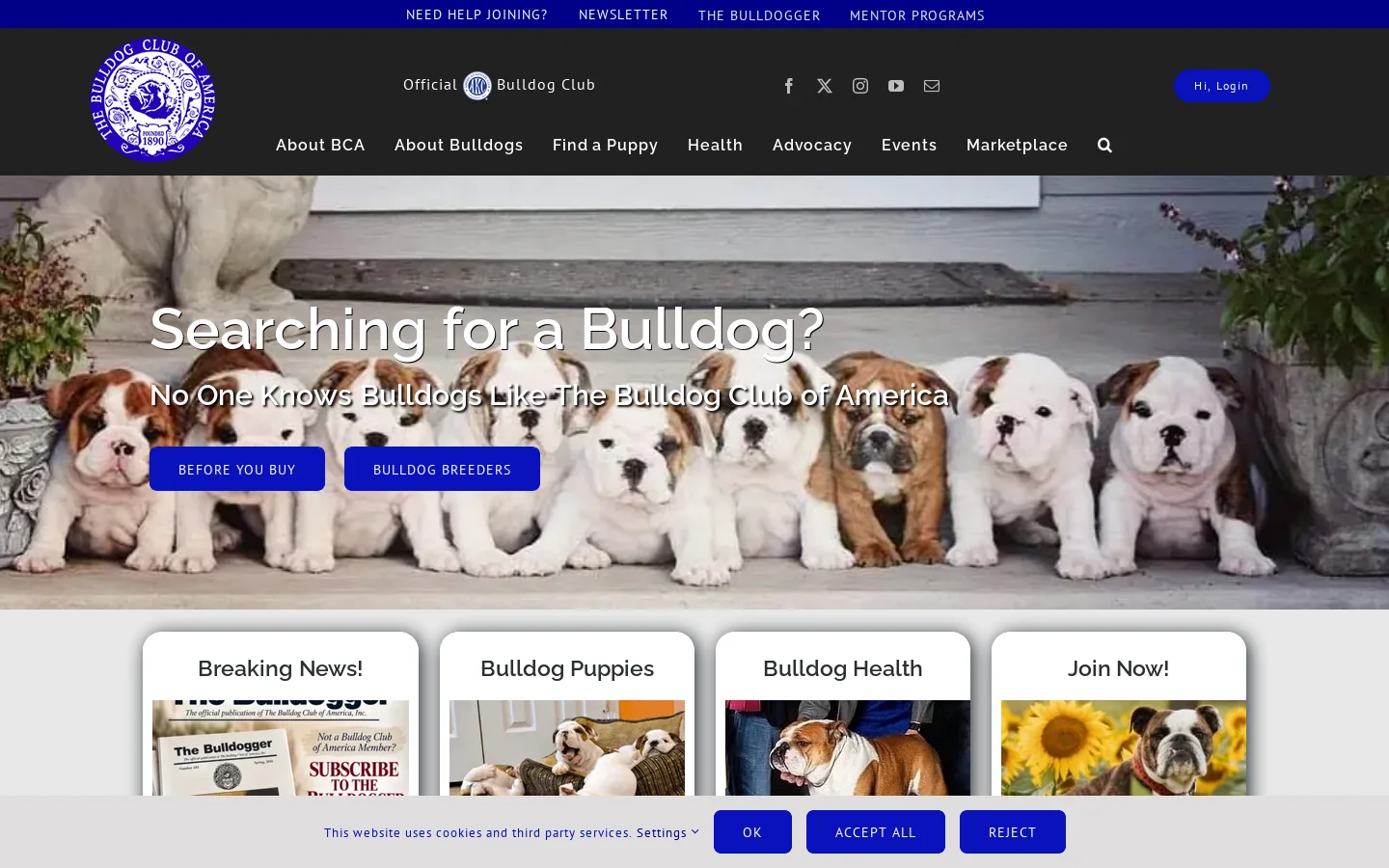 The Bulldog Club of America - The Official AKC Bulldog Club Homepage screenshot