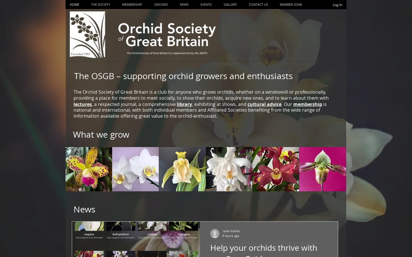 Orchid Society of Great Britain | Orchid Care | Meet and learn Homepage screenshot