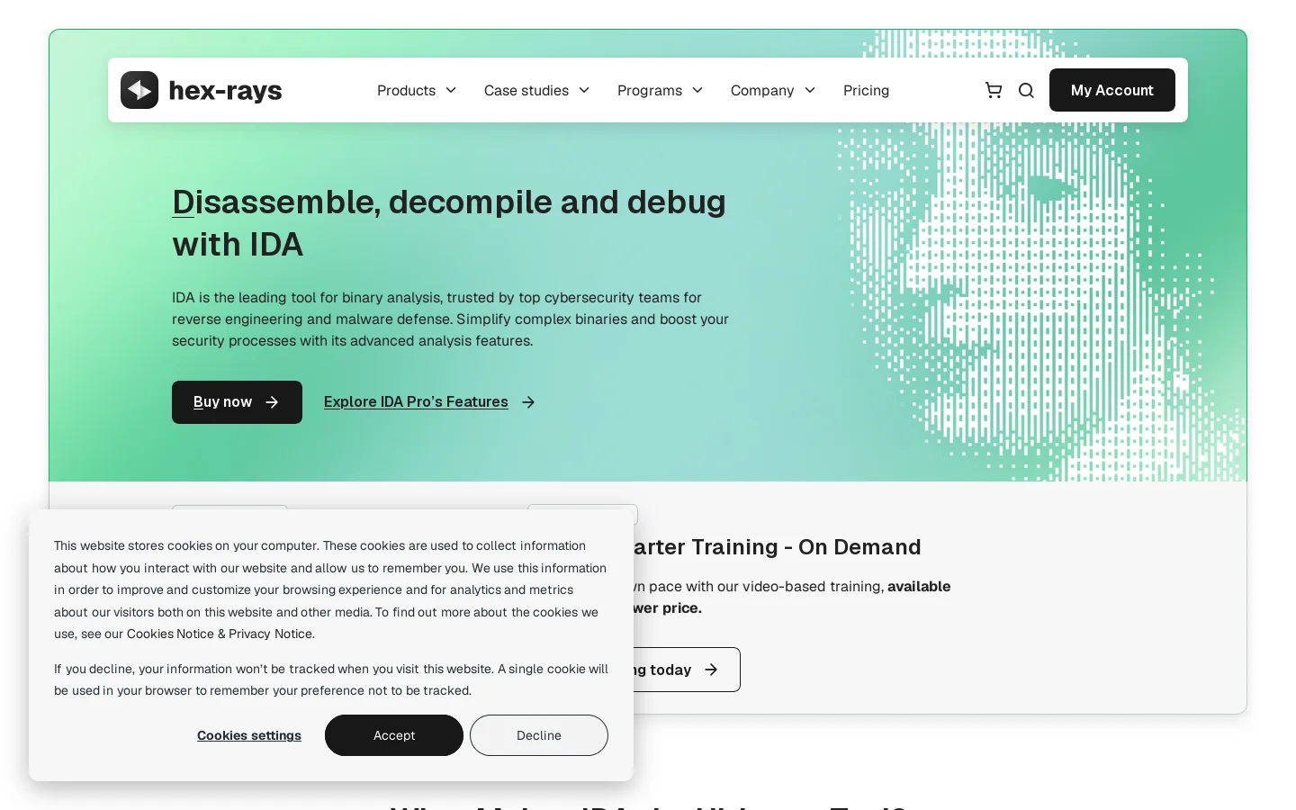 Hex-Rays Homepage screenshot