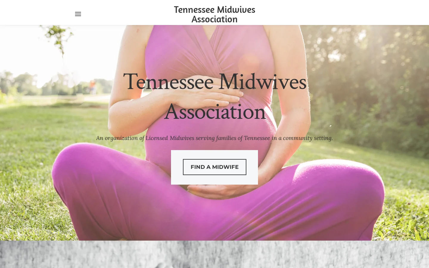 Tennessee Midwives Association Homepage screenshot