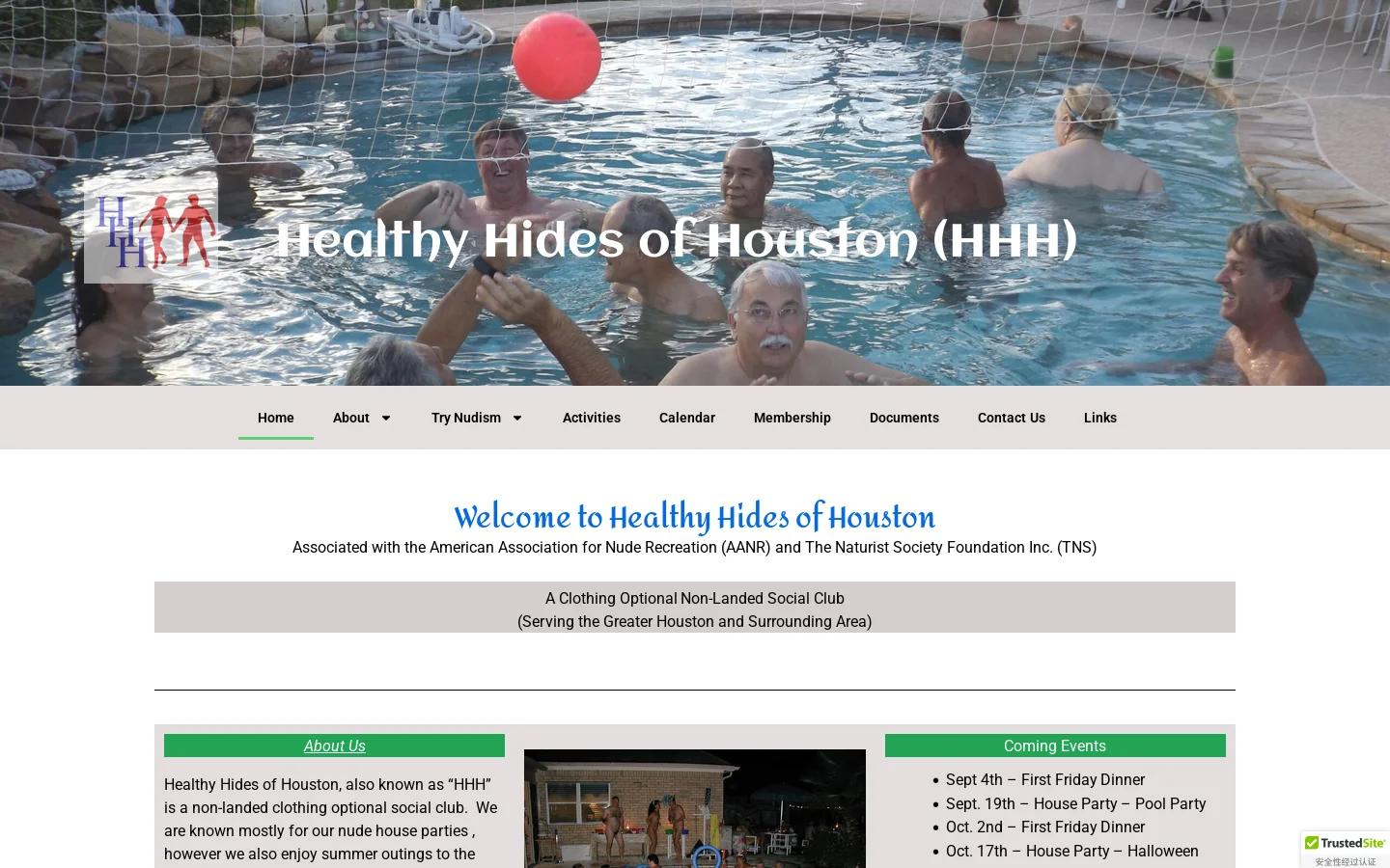 Healthy Hides of Houston Homepage screenshot