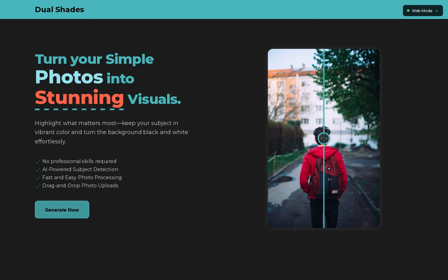 Dual Shades Homepage screenshot