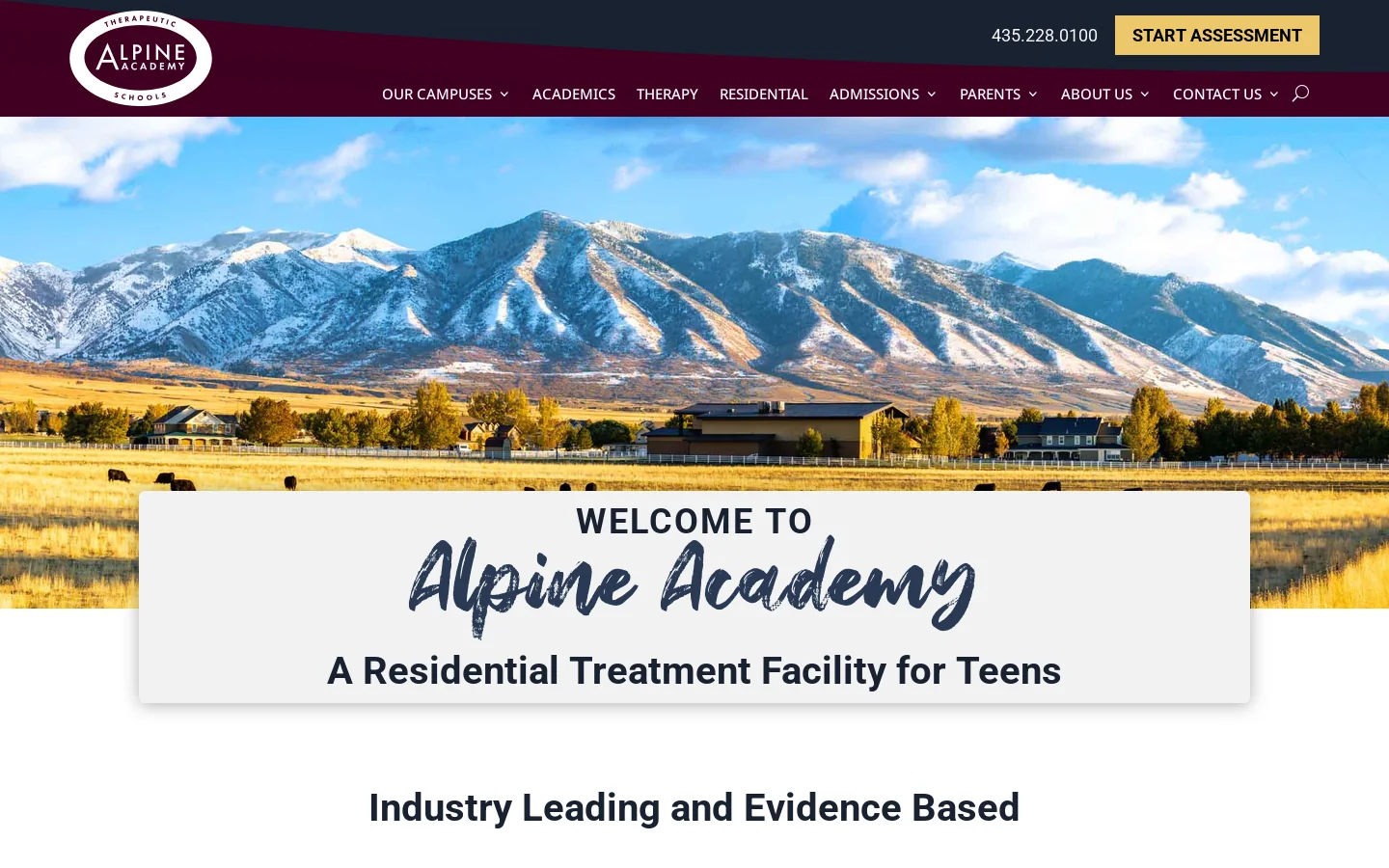 Alpine Academy Homepage screenshot