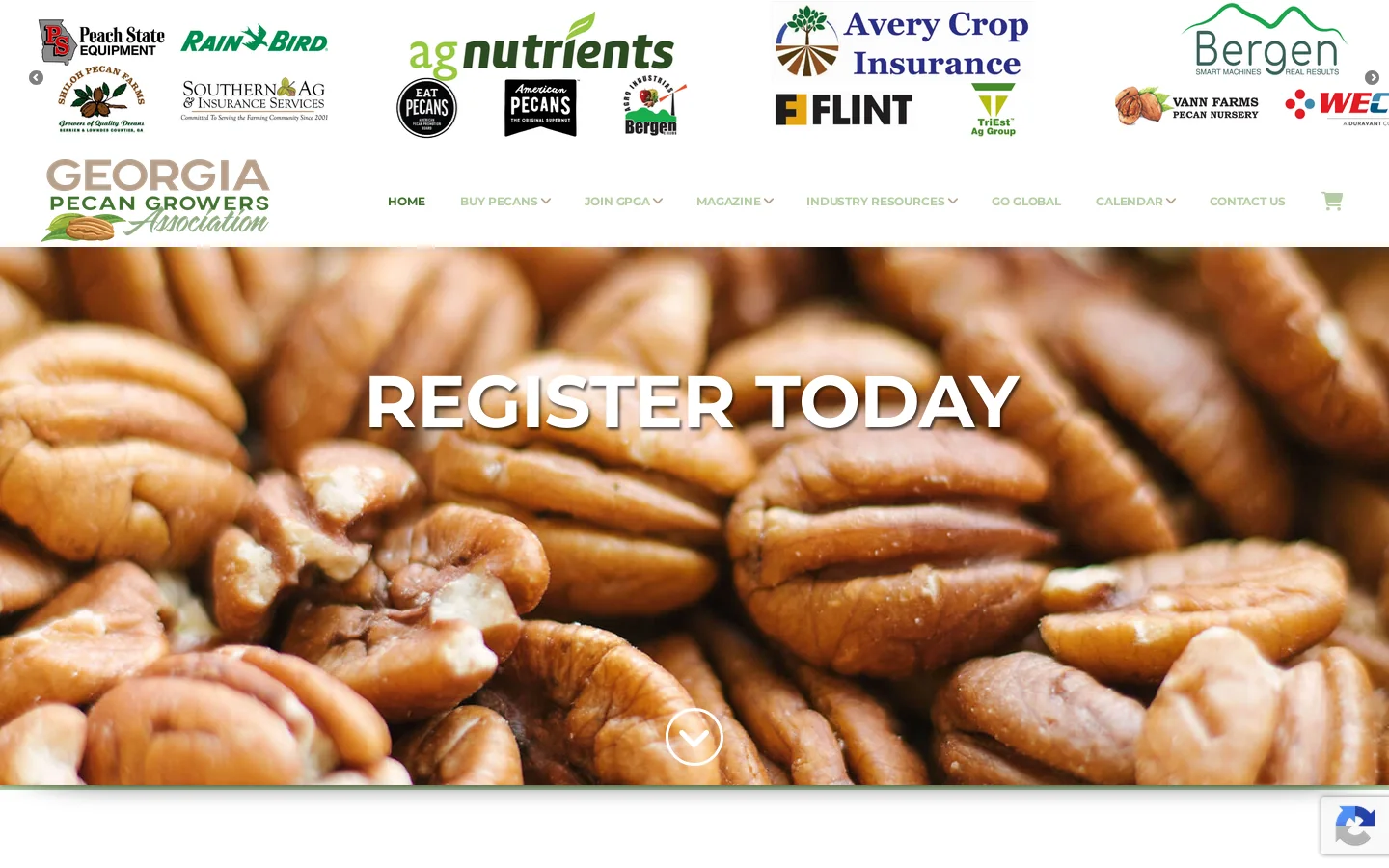 Georgia Pecan Growers Association Homepage screenshot