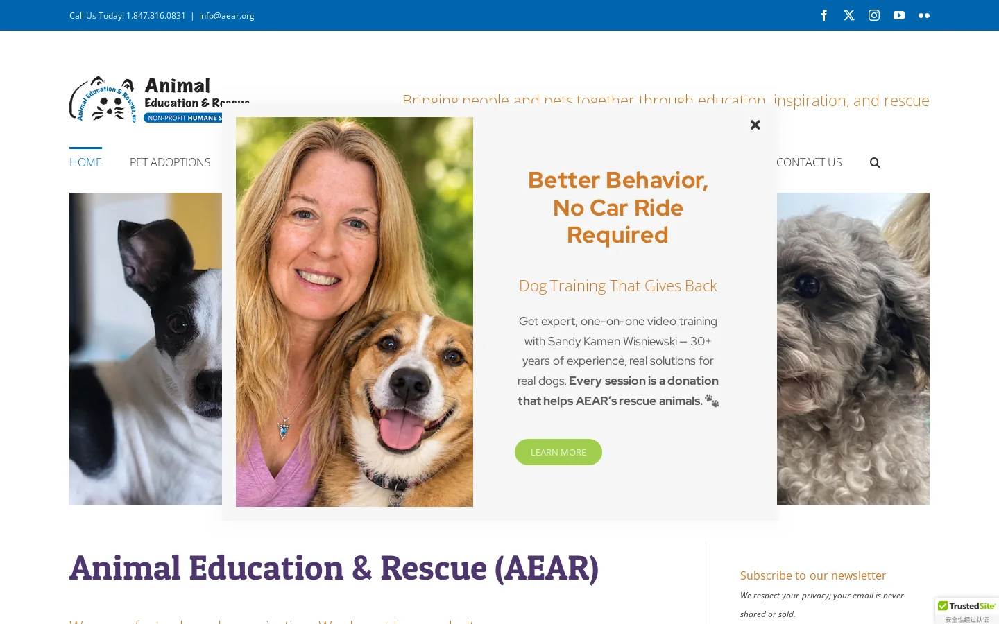 Home - Animal Education & Rescue Homepage screenshot
