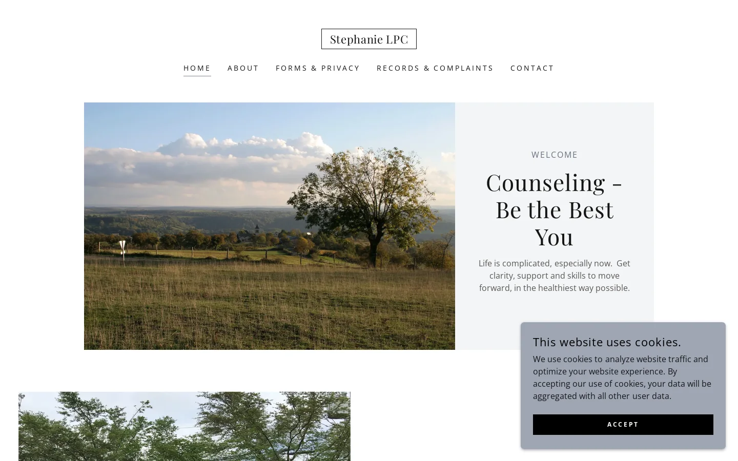 Stephanie LPC Homepage screenshot