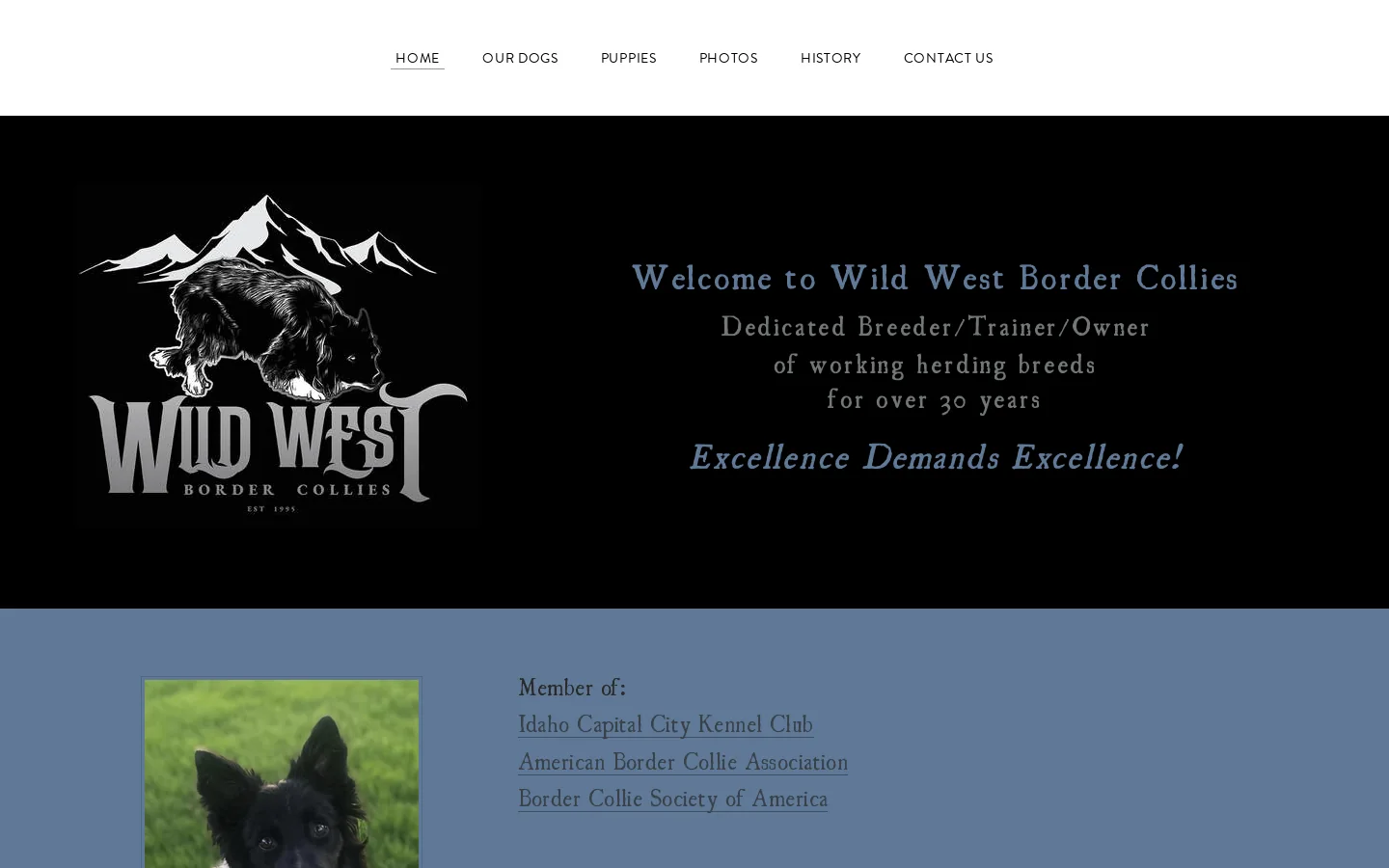Home Homepage screenshot