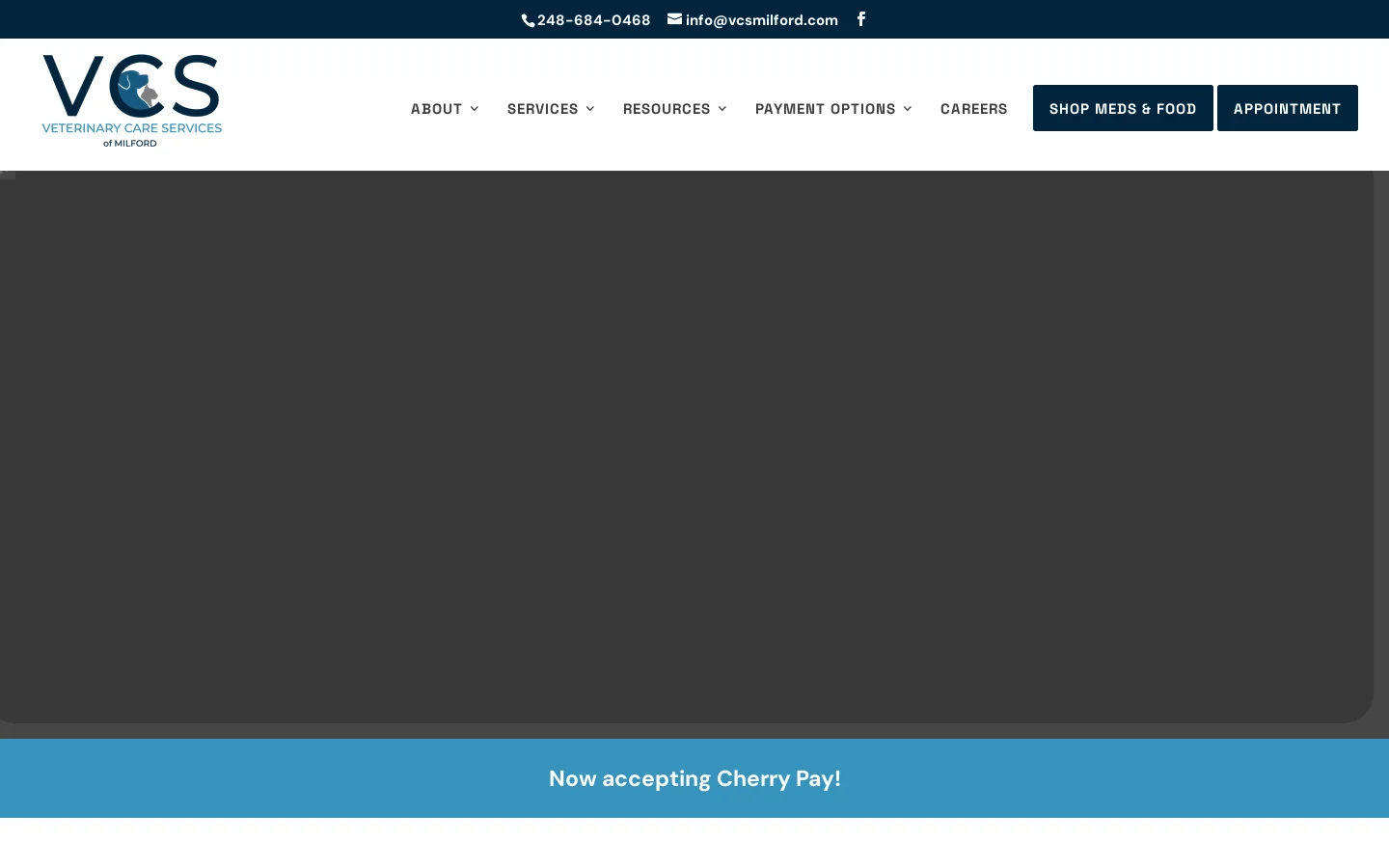 Best Vet In Milford | Veterinary Care Services Milford Homepage screenshot