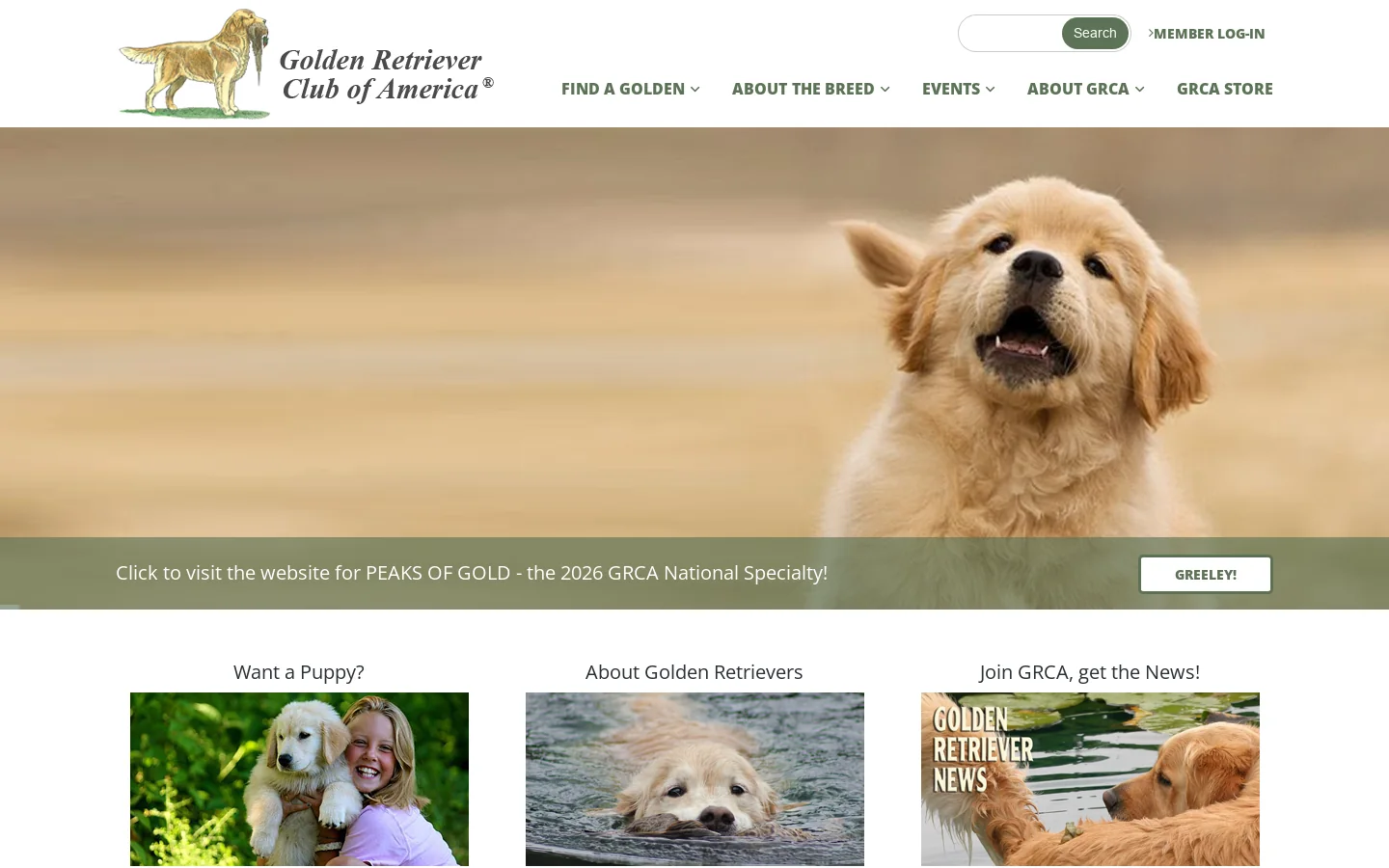 Golden Retriever Club of America Homepage screenshot