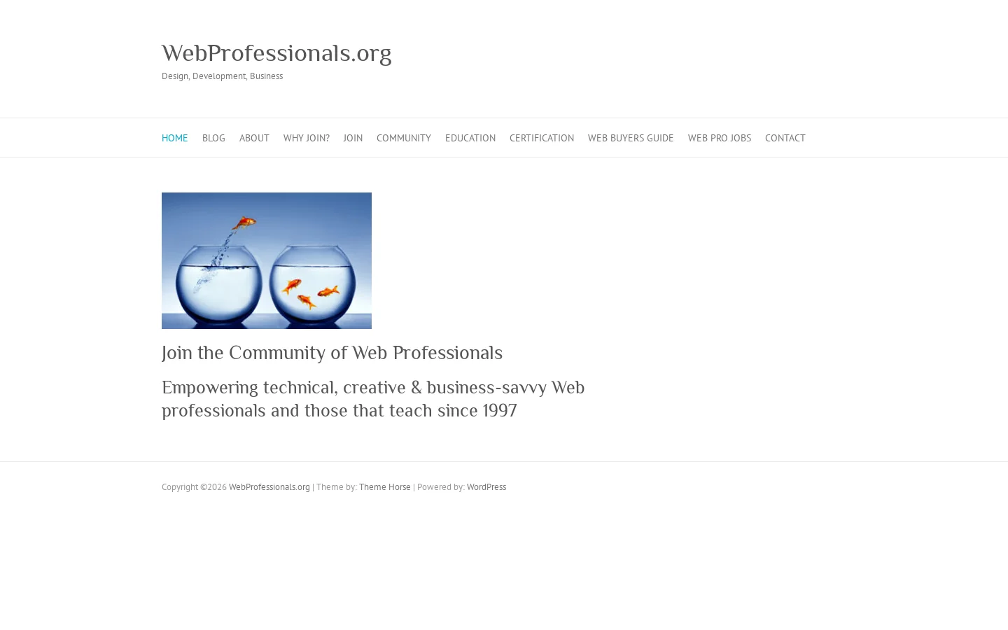 Web Professionals Homepage screenshot