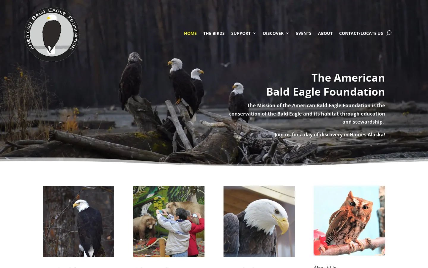 American Bald Eagle Foundation - American Bald Eagle Foundation Homepage screenshot