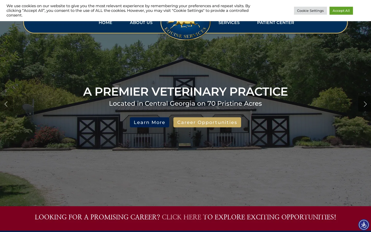 Equine Veterinarian in Fort Valley, GA | Central Georgia Equine Homepage screenshot