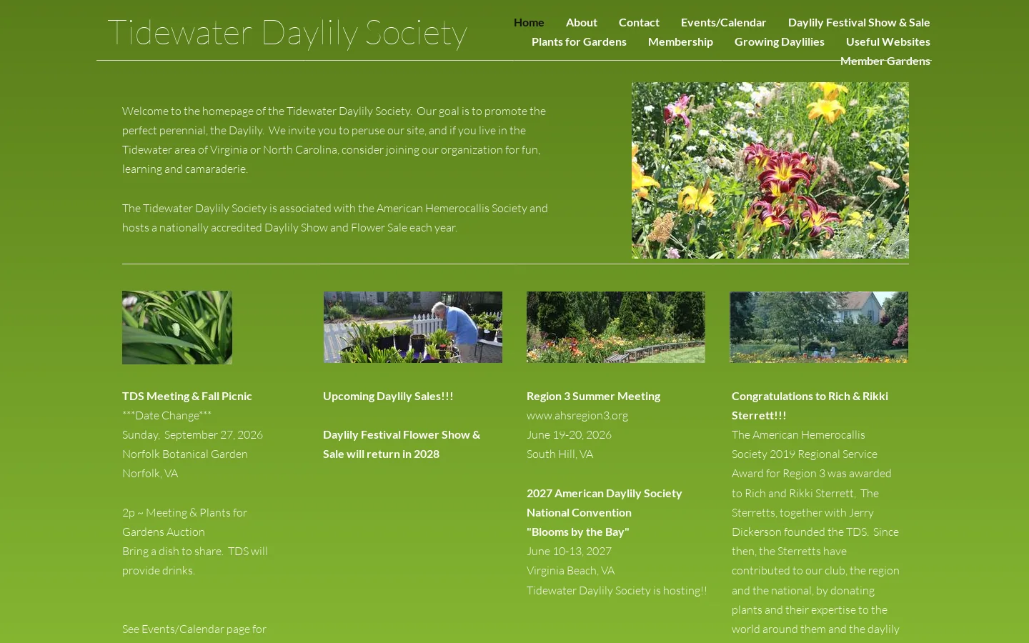 Home Homepage screenshot