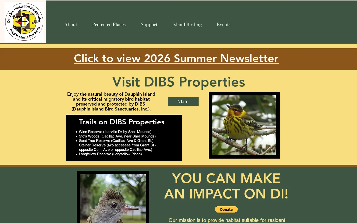 HOME | Dibs Homepage screenshot