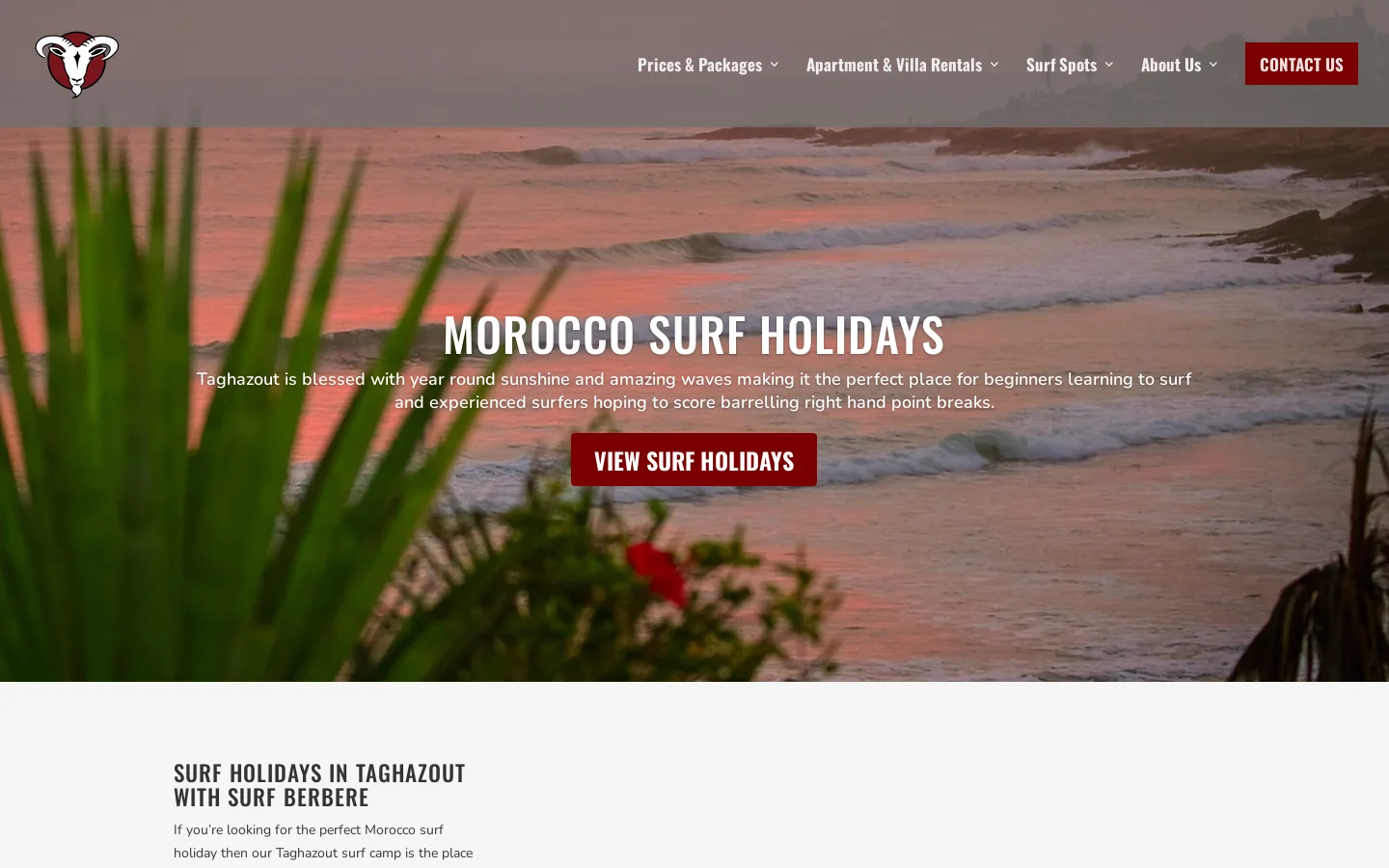 Surf Berbere Homepage screenshot