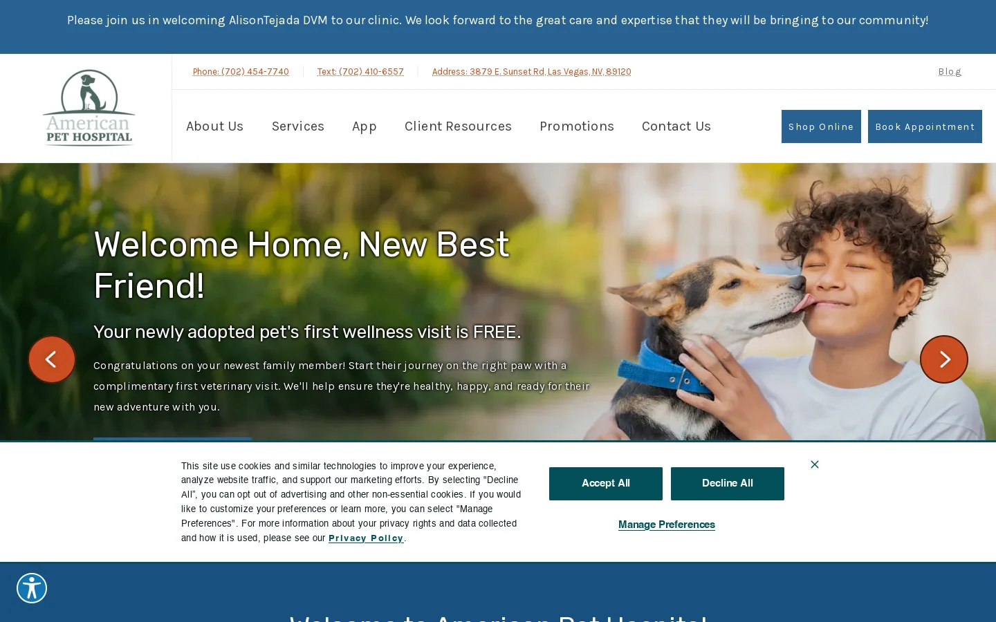 American Pet Hospital Homepage screenshot